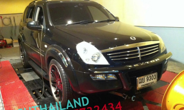 Ssang Yong Rexton 2.7 ecu remap